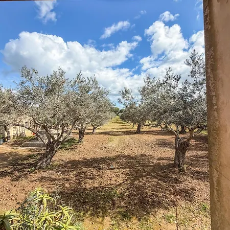 Root And Rise Caltagirone